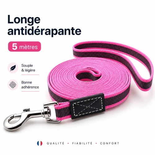 Longe pour petit chien