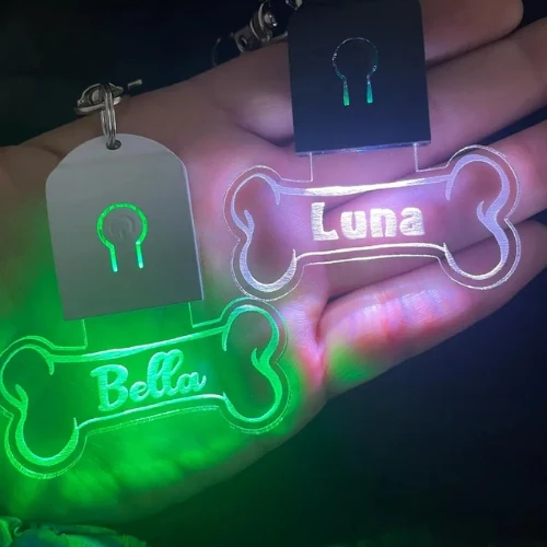 Médaille chien personnalisé lumineuse