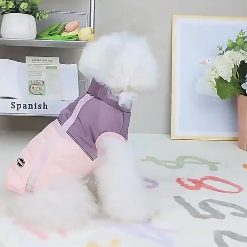 Manteau pour chien fermeture dorsale