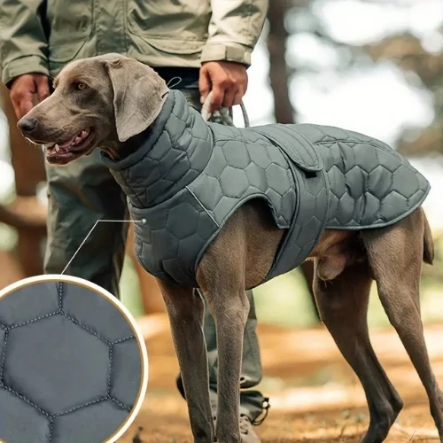 Manteau pour chien matelassé