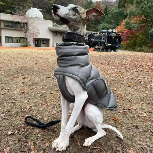 Manteau pour chien élancé