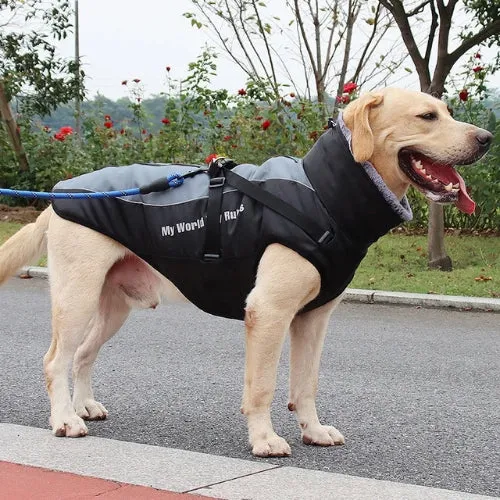 Manteau pour chien grande taille