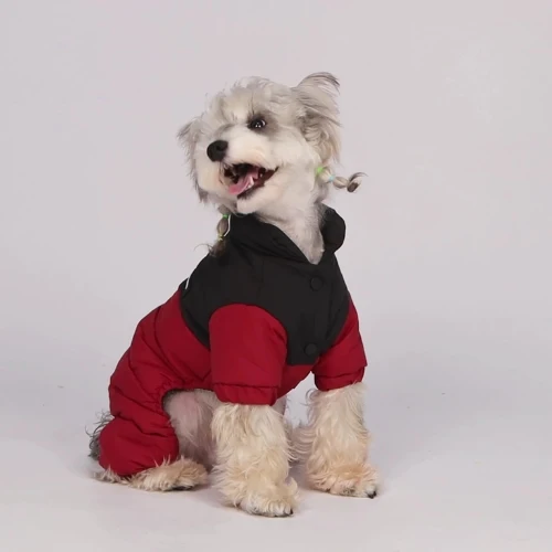 Manteau pour chien doublure en graphène