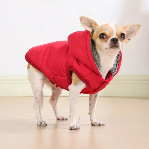 Manteau pour chien Chihuahua