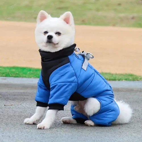 Manteau pour chien coupe-vent