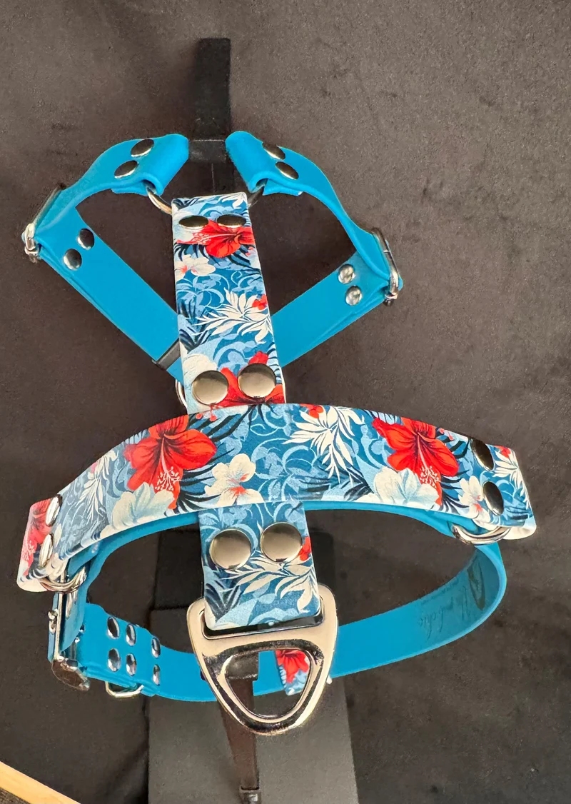 Harnais en H pour chien en Biothane Édition Spéciale – Motifs Exclusifs