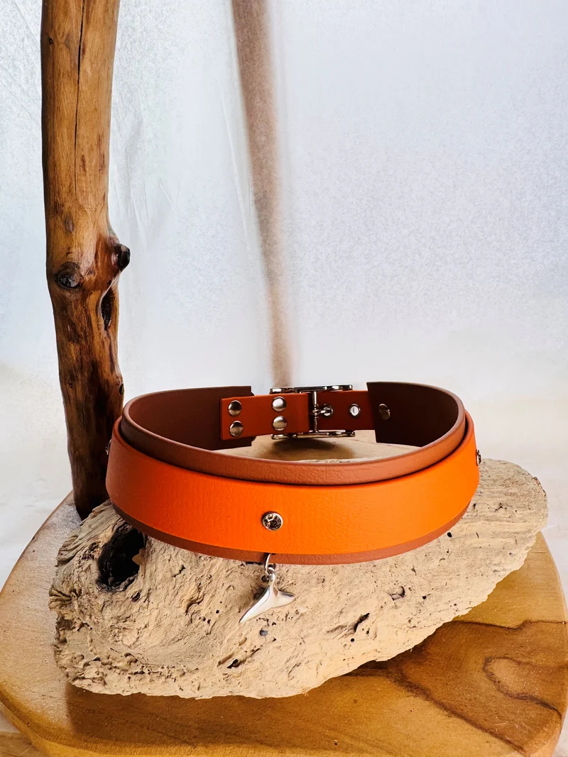 Collier bijou en Biothane - Newis 1er