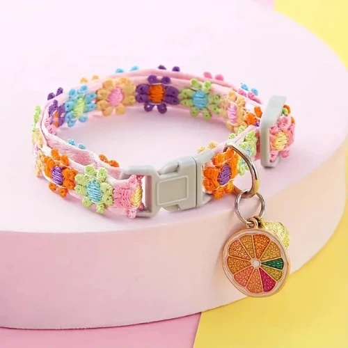 Collier pour chiot