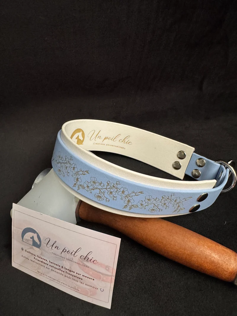 Collier Martingale bicolore en Biothane personnalisé pour chien