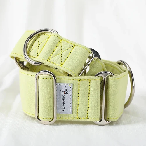 Collier chien martingale