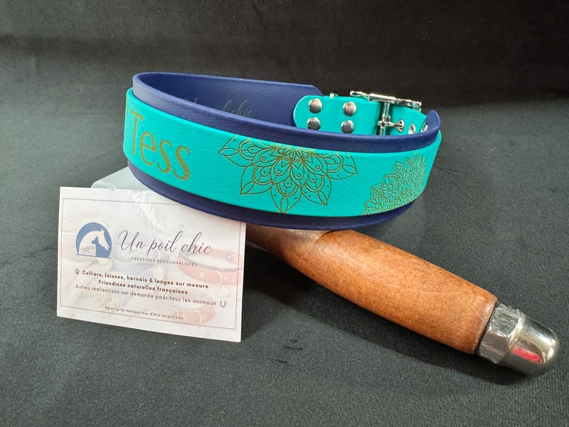 Collier Biothane bicolore personnalisé pour chien