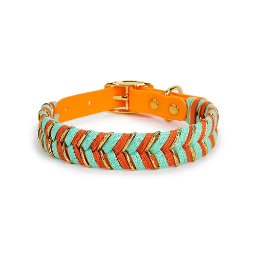 Collier pour chien tressé