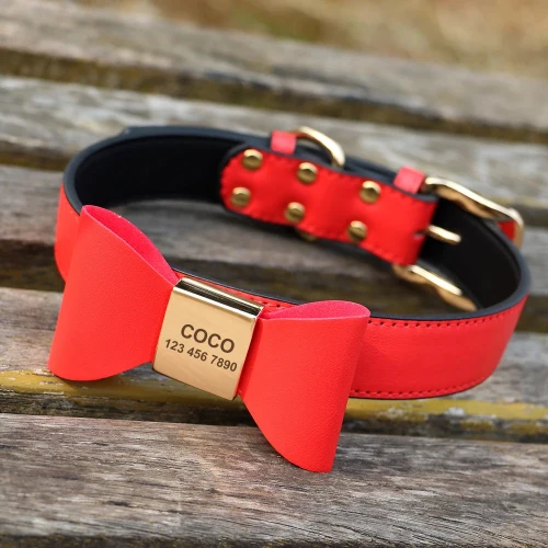Collier chien gravé cuir PU avec boucle personnalisée