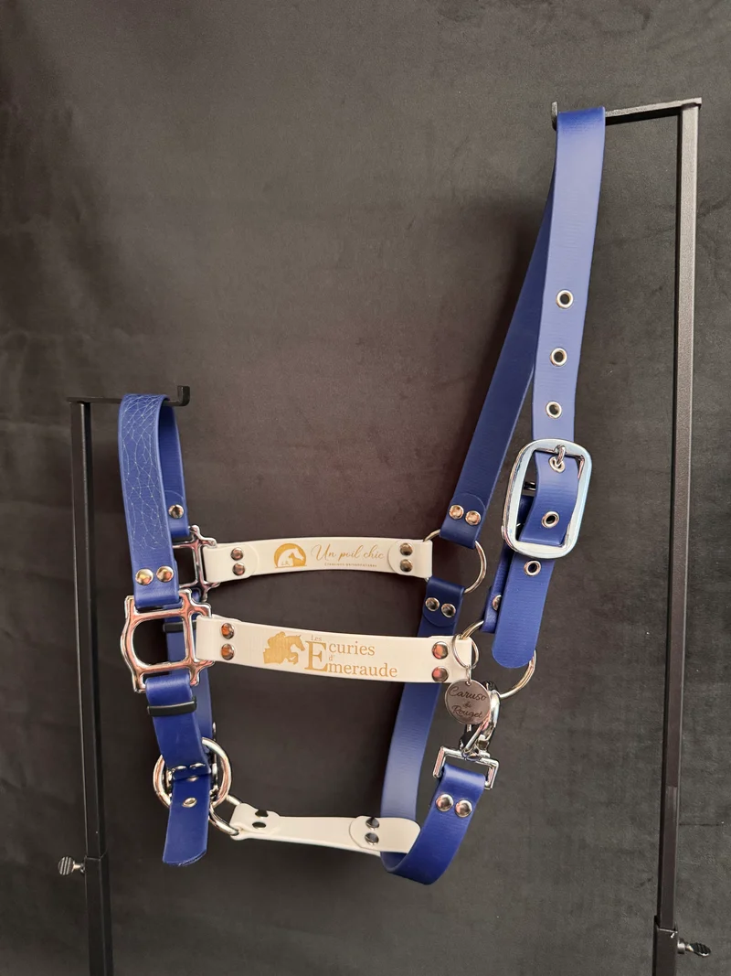 Licol Cheval / Shetland / PS / COB - Biothane bicolore personnalisable