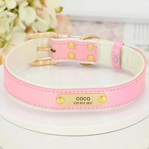 Collier personnalisé chien TenderShine