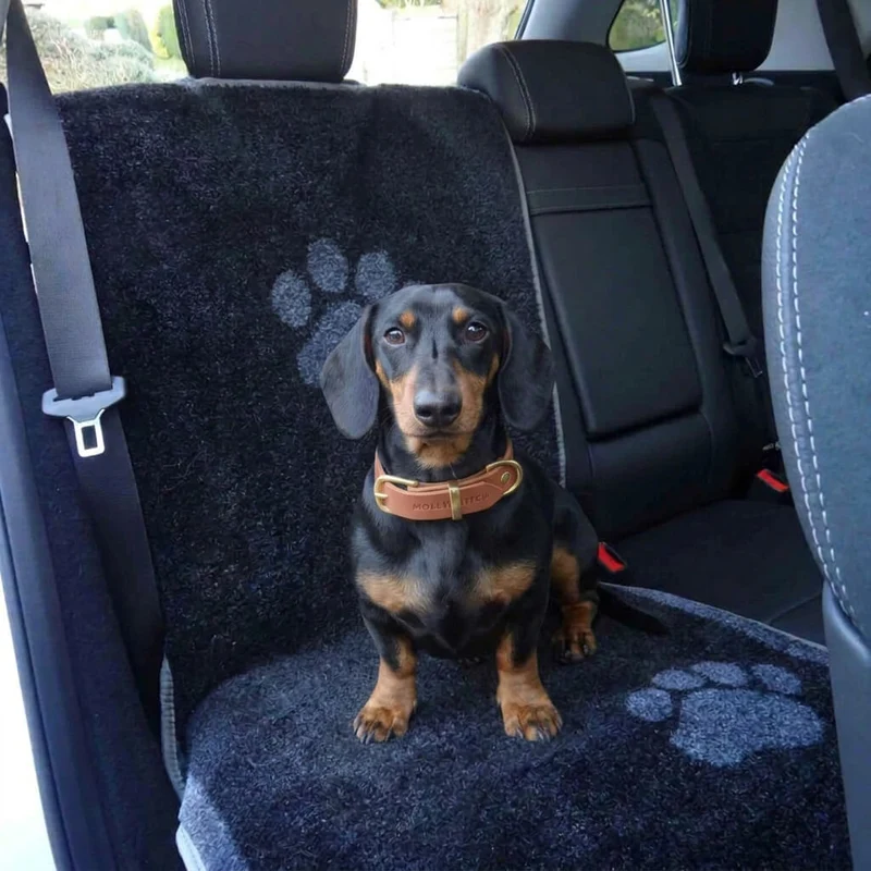 Housse de Protection Siège Auto pour Chien