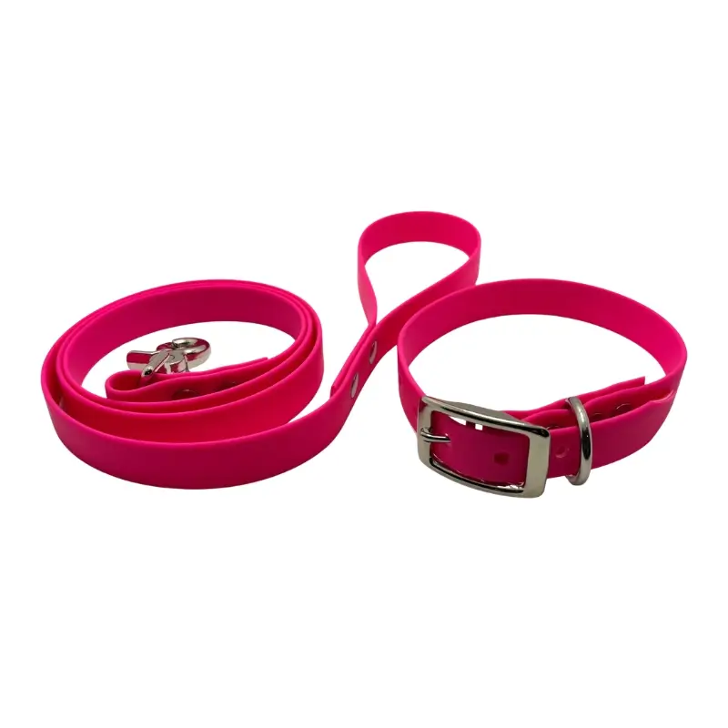 Kit laisse et collier pour chien en sangle enduite TPU