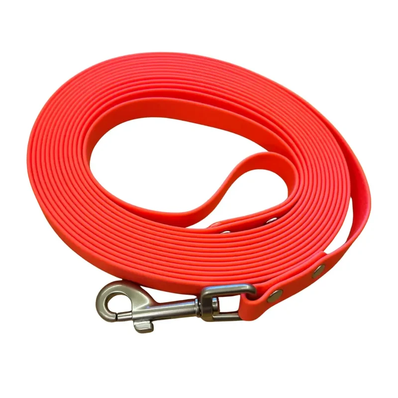 Longe en sangle Hexa pour chien