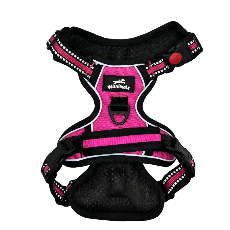 Harnais anti-traction gros chien : reprenez le contrôle sans douleur