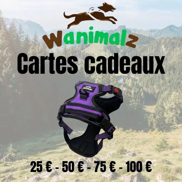 Cartes cadeaux Harnais pour chiens