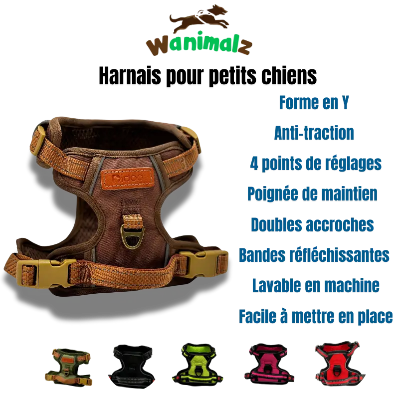 Harnais anti-traction pour petit chien de 2 à 5 kg