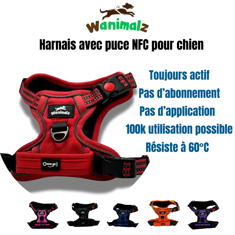 Harnais anti-traction en Y avec puce NFC pour chien