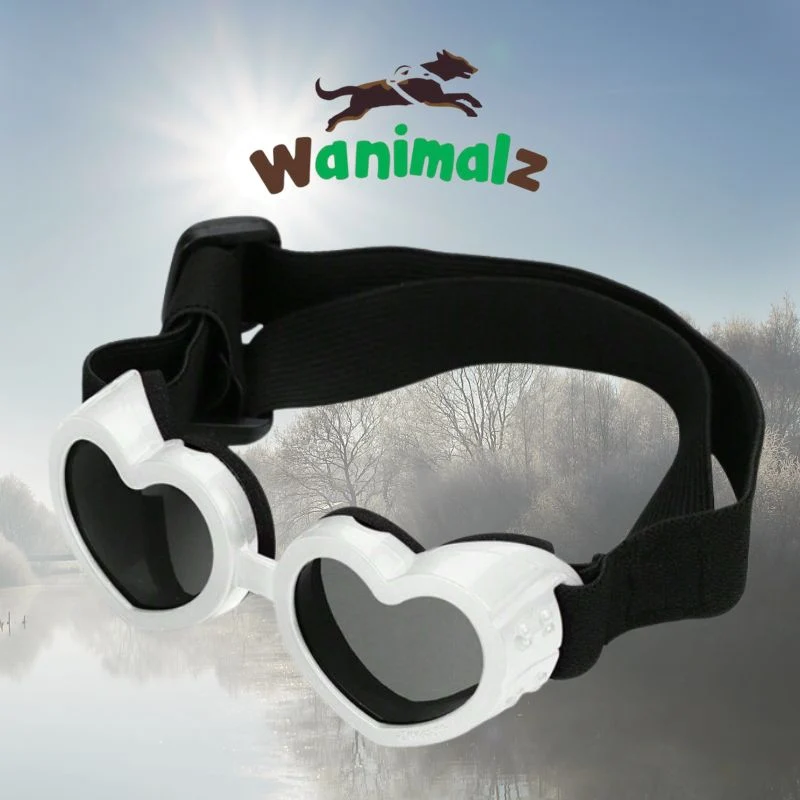 Lunettes de soleil réglables pour petit chien