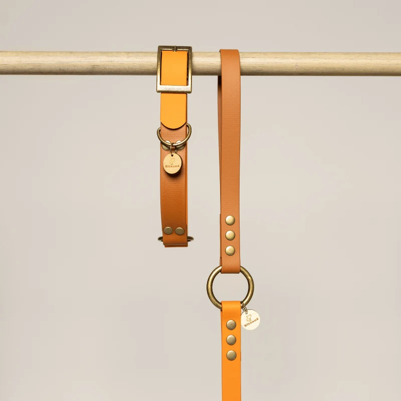 Collier biothane bi-color ORANGE/MARRON