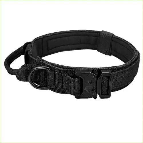 Collier type tactique pour berger allemand avec poignée