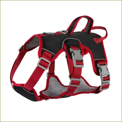 Harnais long et ajustable pour chiens avec rembourrage et boucles rapides