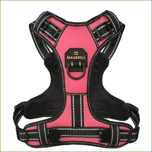 Harnais nylon ajustable, réfléchissant et anti traction pour chien