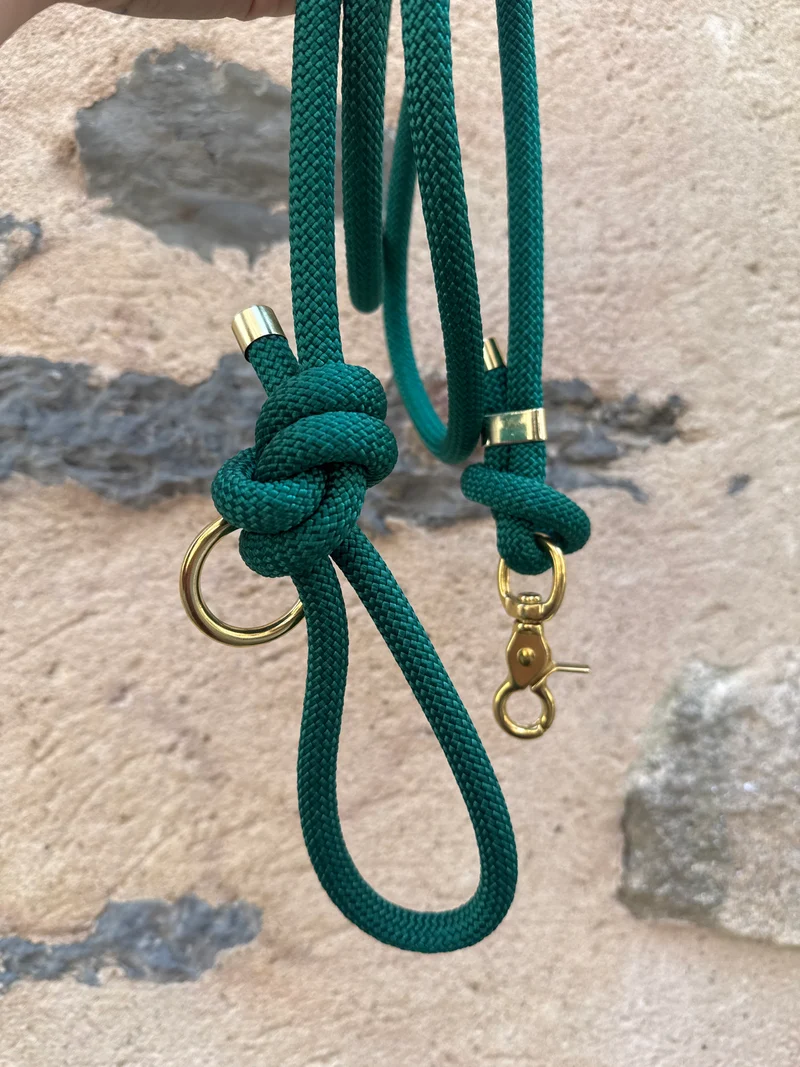 Laisse essentielle - Paracorde - Vert émeraude