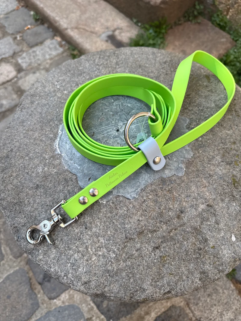 Laisse kit main libre -Biothane- Vert pomme et Bleu pastel