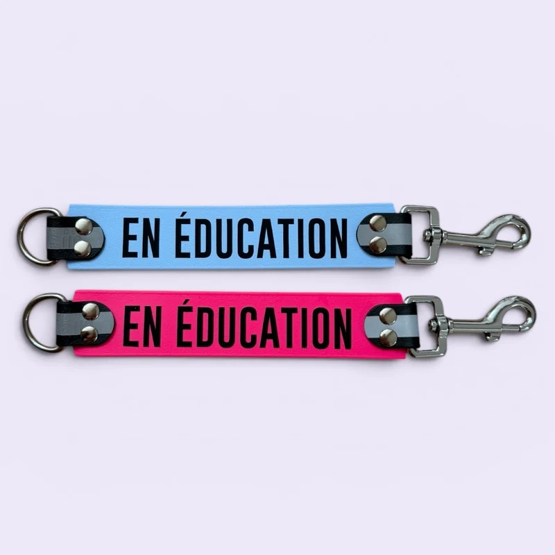 DogTalker© « En éducation »