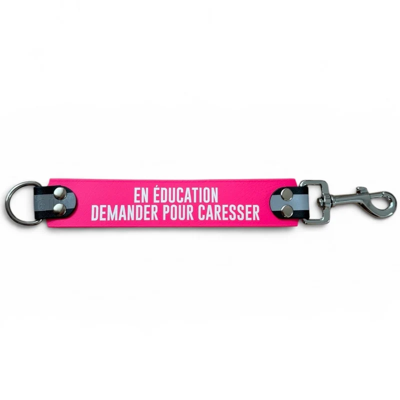 DogTalker© « En éducation, demander pour caresser »
