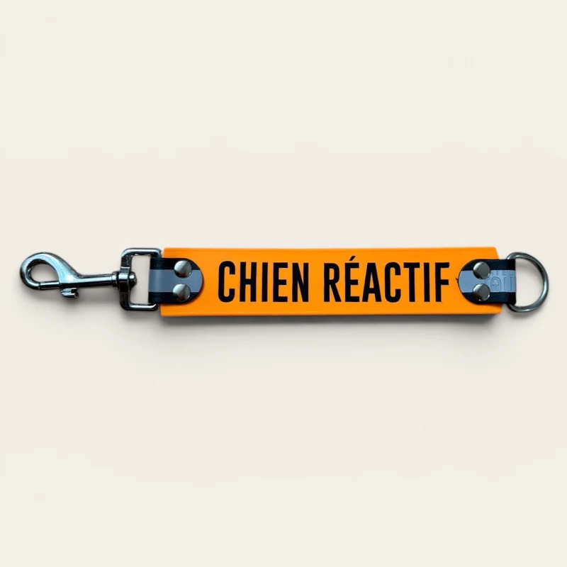 DogTalker© « Chien réactif »