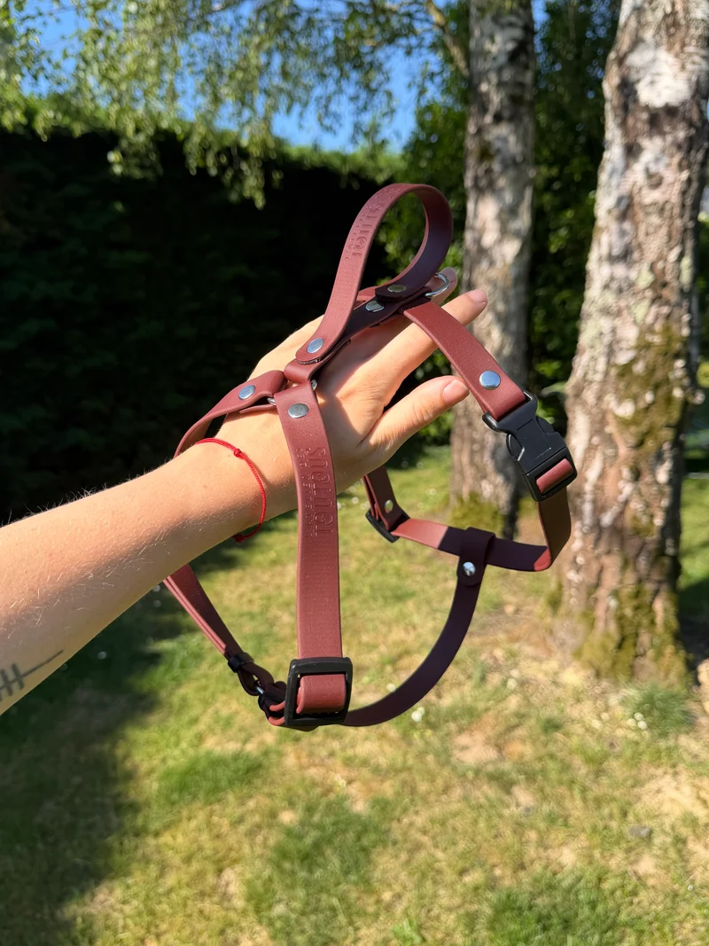 Harnais en Y léger BioThane® 19 mm - saddle brown