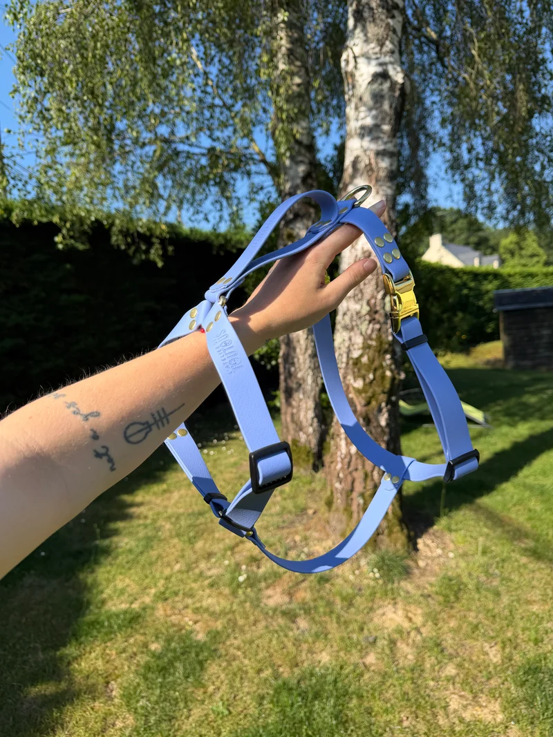 Harnais en Y léger BioThane® 25 mm - myrtille et doré