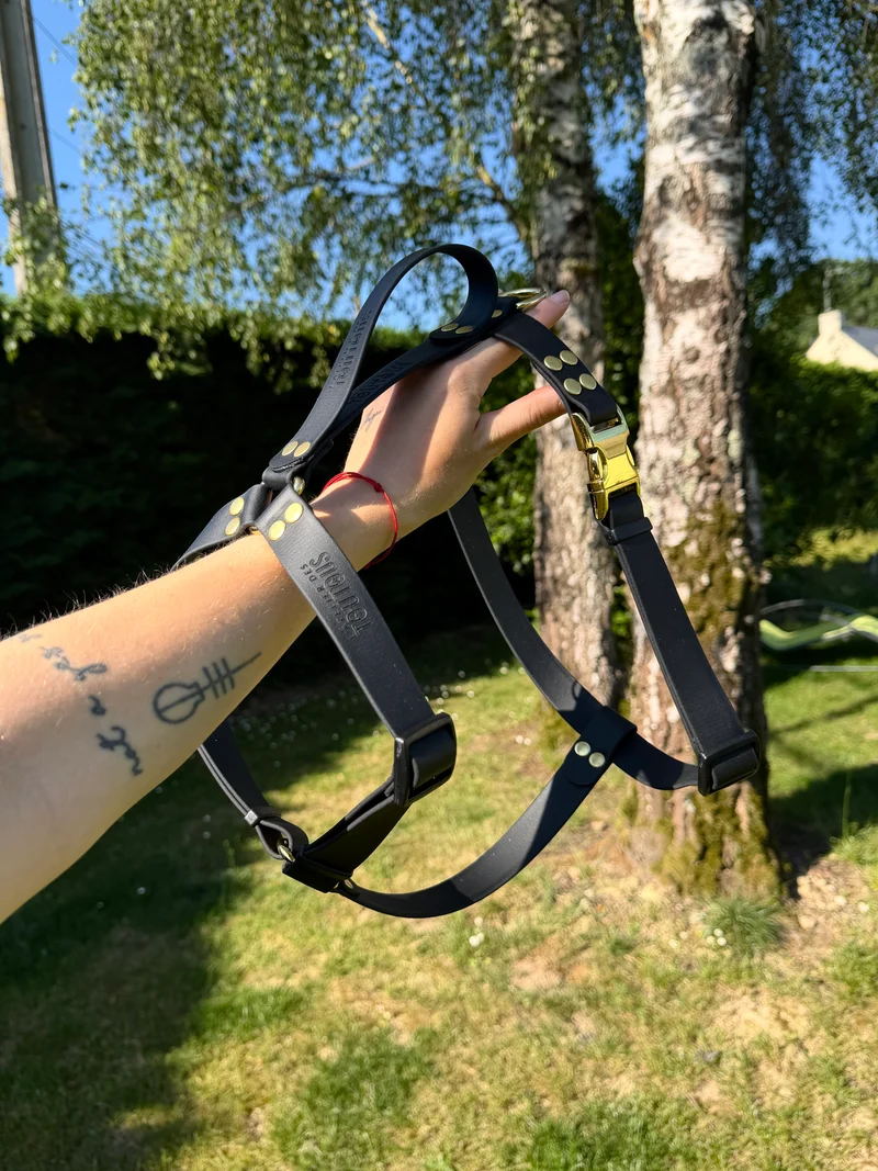 Harnais en Y léger BioThane® 25 mm - noir et doré