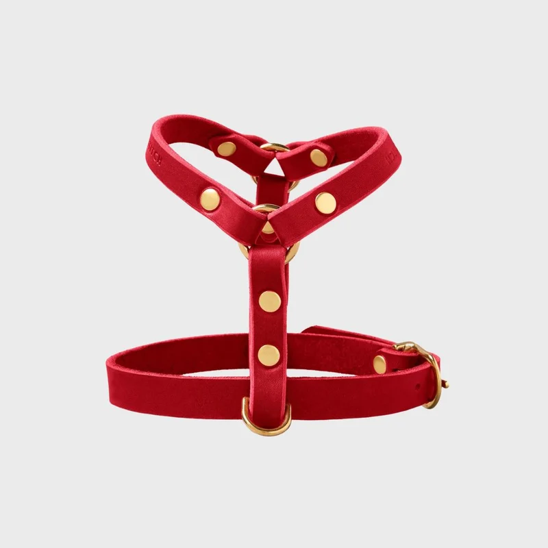 Sellerie Teckel Harnais en Y Cuir Butter Rouge