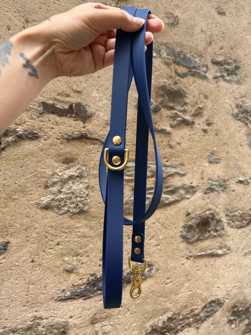Laisse essentielle -Bleu Navy- Biothane
