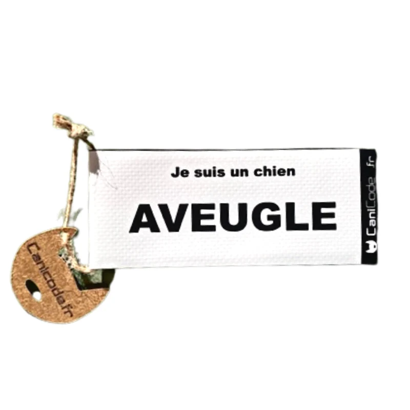CaniCode AVEUGLE