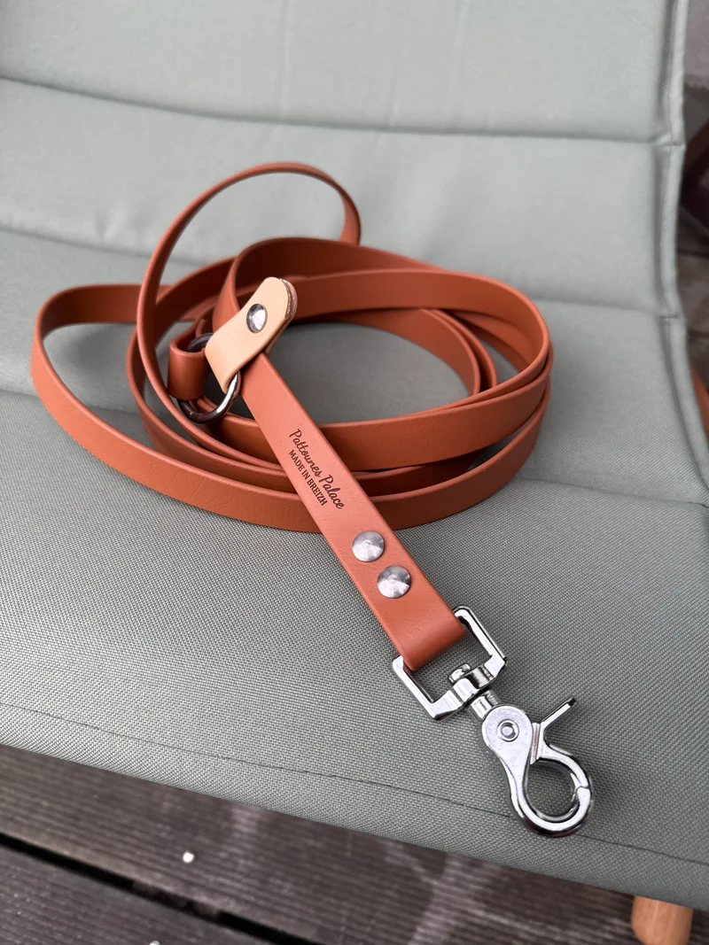 Laisse kit main libre - Biothane - Camel & Or light