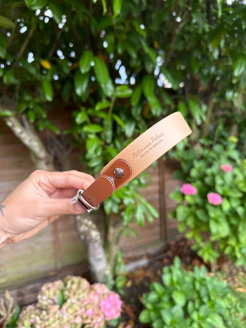 Collier Duo en Biothane- Or light & Camel