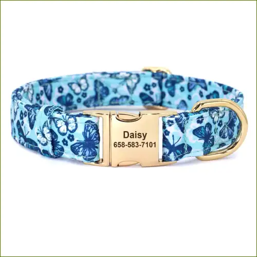 Collier nylon stylé avec gravure et coloré pour petits chiens