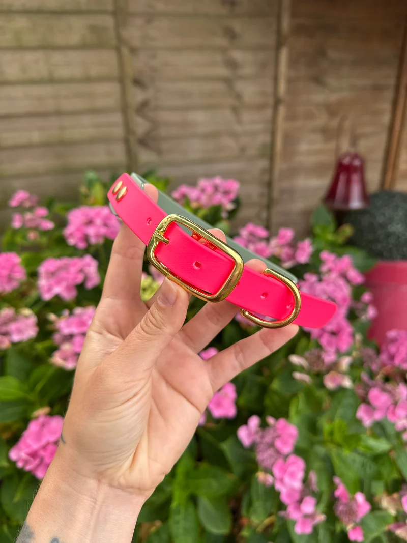 Collier Duo en Biothane- Rose néon & vert sauge