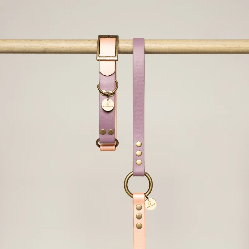 Laisse pour chien biothane VIOLET et ROSE