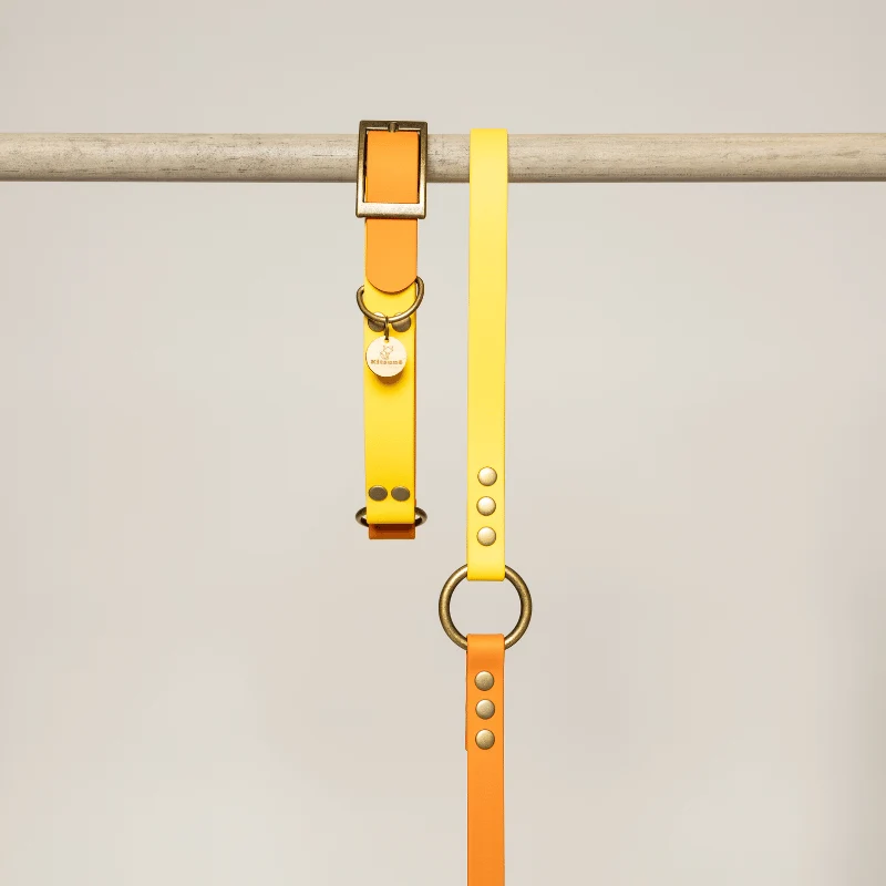 Collier biothane bi-color JAUNE/ORANGE
