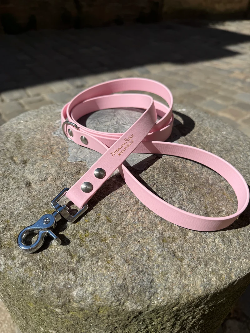 Laisse essentielle -Rose pastel- Biothane