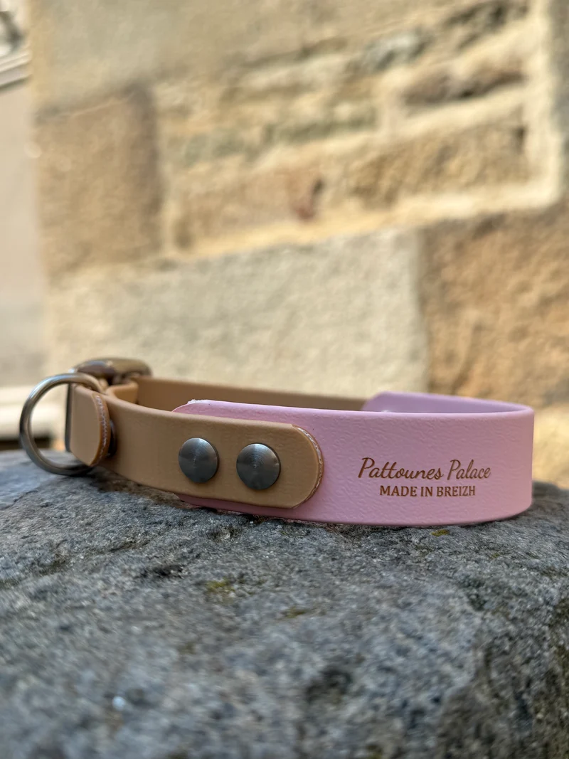 Collier Duo en Biothane- Rose pastel & Or light